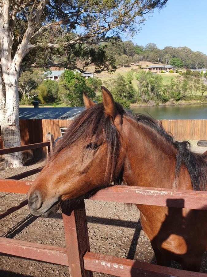 Park View Guest House Albion Park 外观 照片